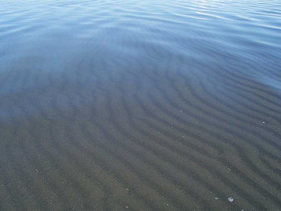 101_0127.JPG - Дно в Хадыне песчано-галечное, очень приятное на "ощупь". Вода - теплая, чистая и прозрачная. Слабосоленая. Запаха сероводорода и сероводородной грязи, который достает, напрмер, на озере Тагарском или возле Дус-Холя - нет, воздух чистый и свежий.